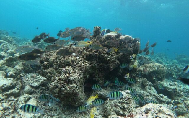 ilaa Beach Maldives