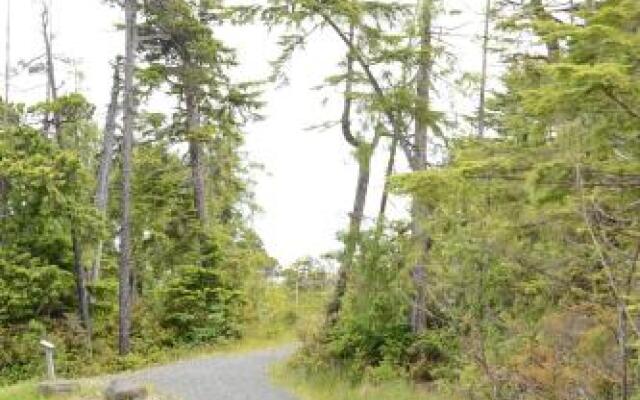 Pacific Rim Guest Lodge - Adult Only, Pet-Free