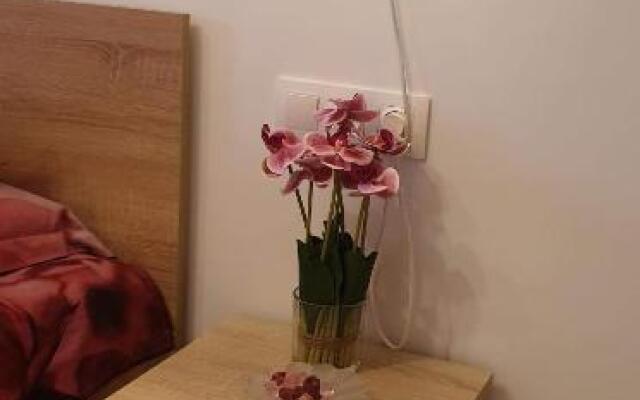 Apartmant Melinda M16