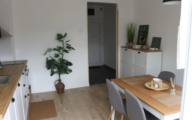 Studio apartman TAJČI