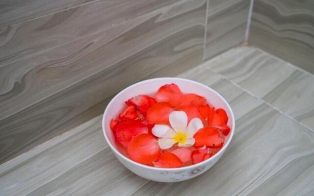My House Homestay Hoi An