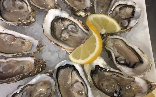 Qeparo Napolon Complex