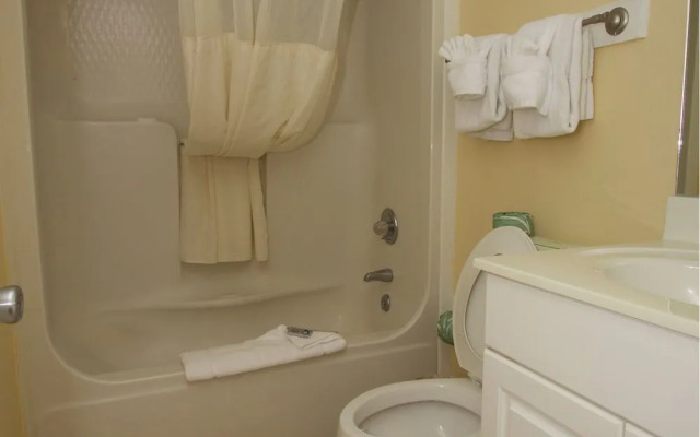 Peppertree By The Sea