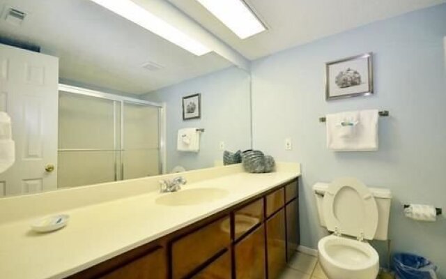 Dolphin Run by Blue Sun