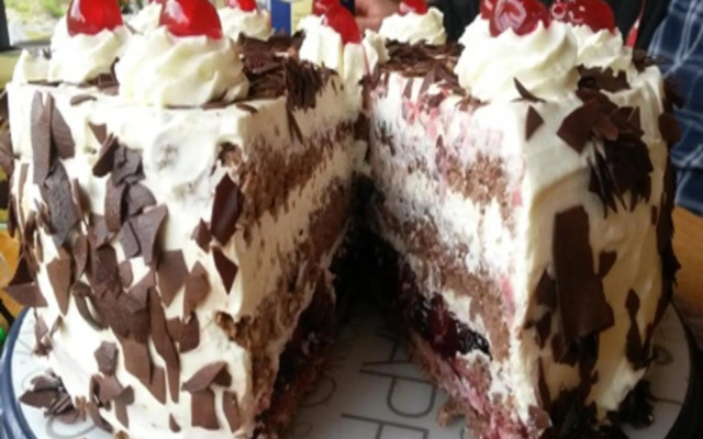 Urlaub im Herrenholz