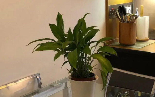 Mayfair Piccadilly Apartment