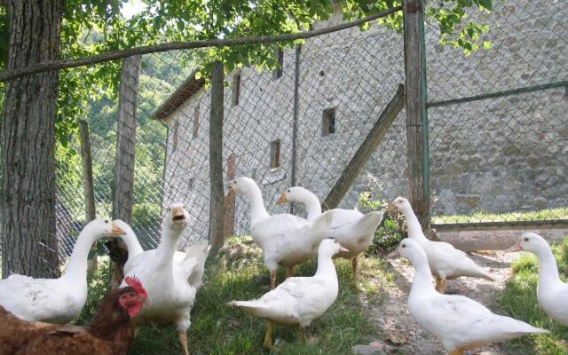 Agriturismo Podere Fiume