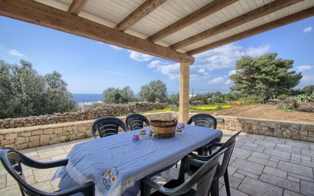 Salvia Lovely Seaview