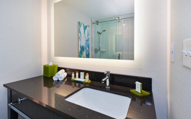 Holiday Inn Rochester Downtown