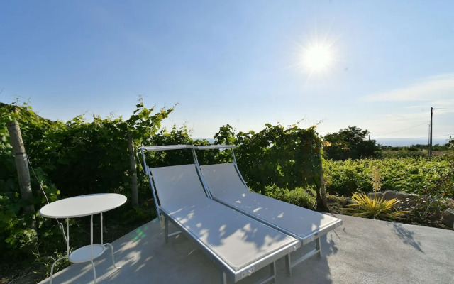 Tenuta C'est la Vie