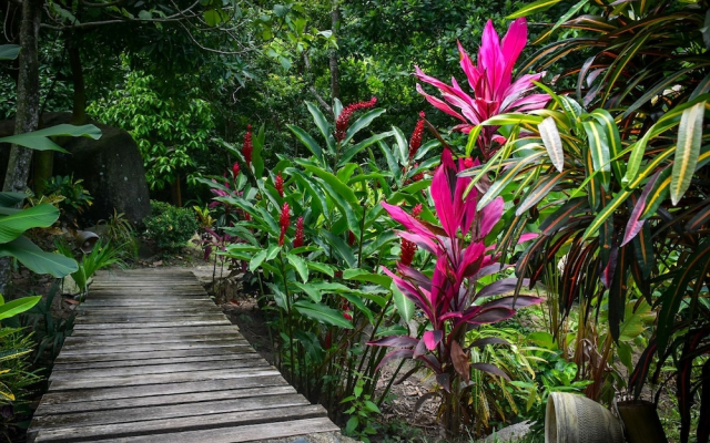 Ecohabs Bosques del Tayrona