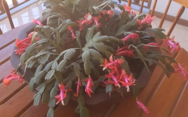 Pousada Il Conventino