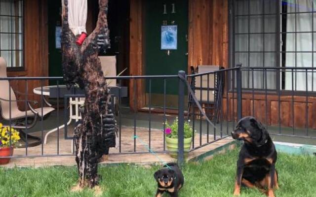 The Woodsman Country Lodge