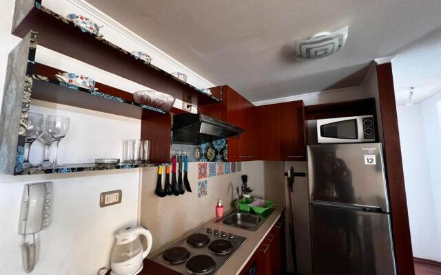 Apartamentos Plaza Bulnes