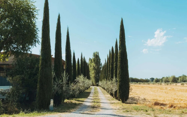 Farmhouse With Swimming Pool in Cortona