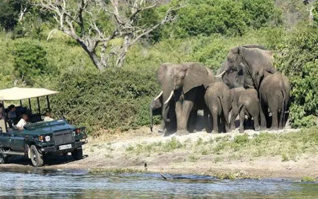 Tongabezi Lodge