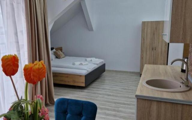 ORI Orange Studio Malul Mureșului