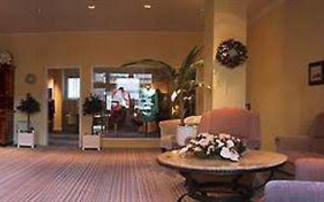 Hotel am Luisenbad