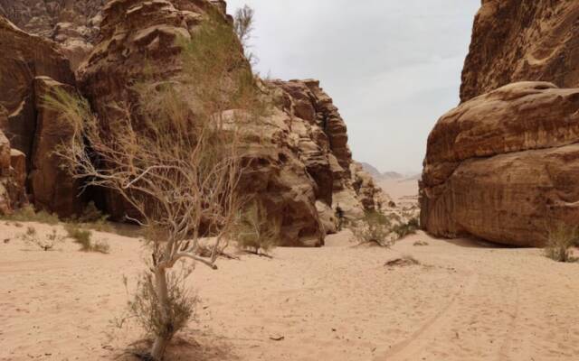 Wadi Rum Tribe - Campsite