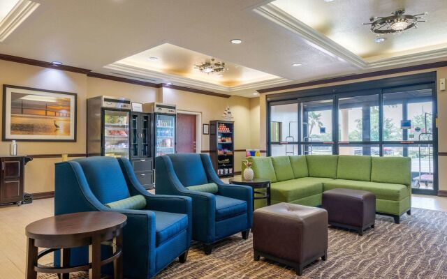 Comfort Inn & Suites St. Pete - Clearwater International Airport