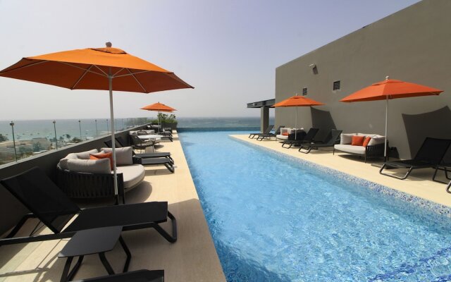 Singular Dream by Spot Rentals