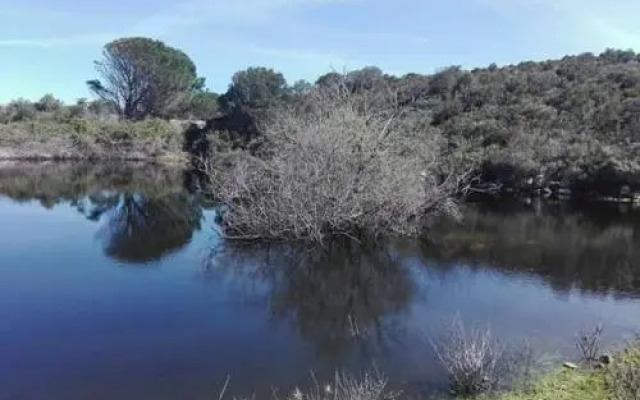 Azienda agricola Li Nalboni 2426