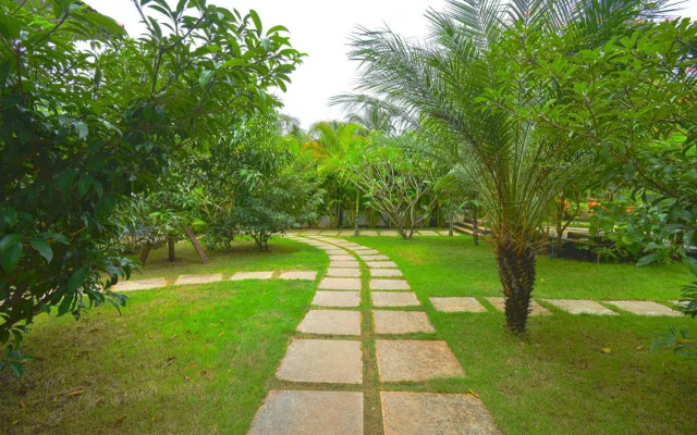 Yoyogoa Vagator Retreat