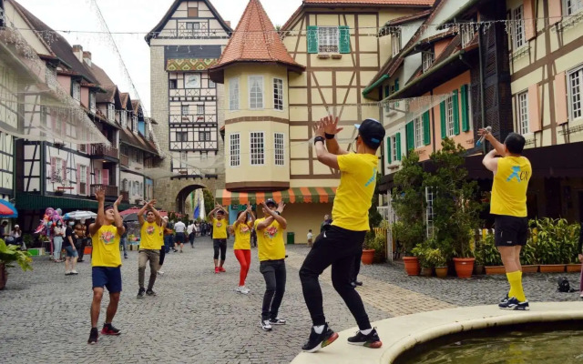 Colmar Tropicale