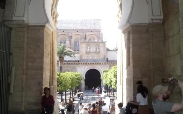 Lineros 24