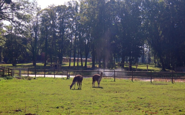 Holiday Home Oliver, Wendorf