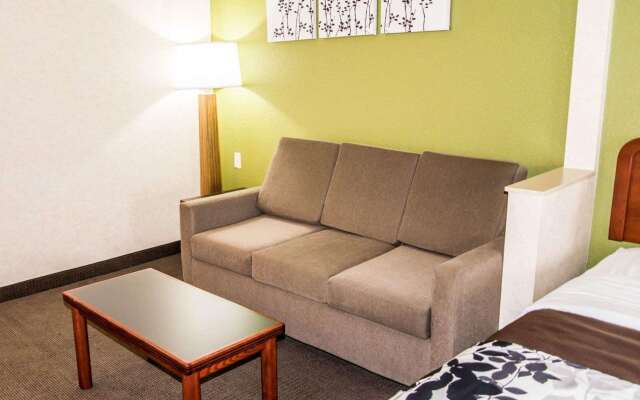 Sleep Inn & Suites Allendale