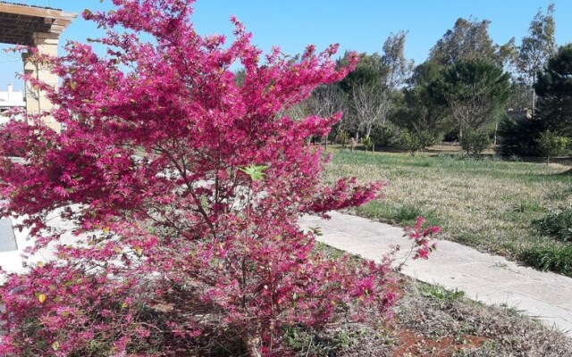 Agriturismo Casale Contenti