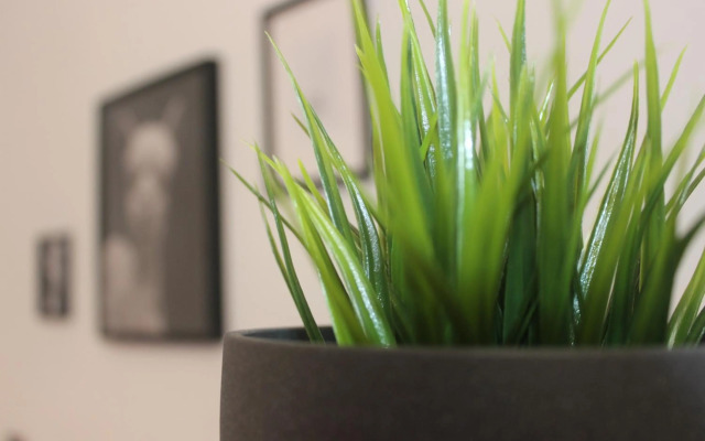 Riari 59 Rome - Trastevere