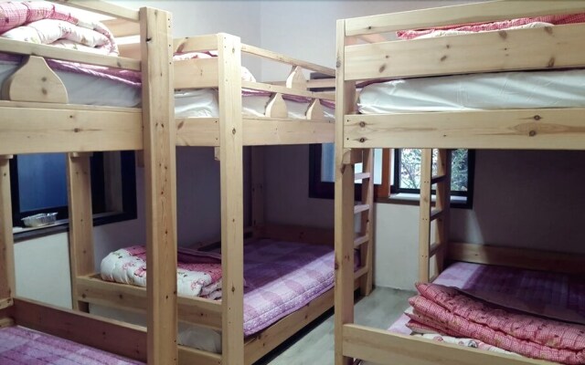 Jeojiri Tory's Dream