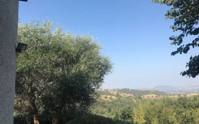 House, Villa - Polveraia, Scansano, Grosseto