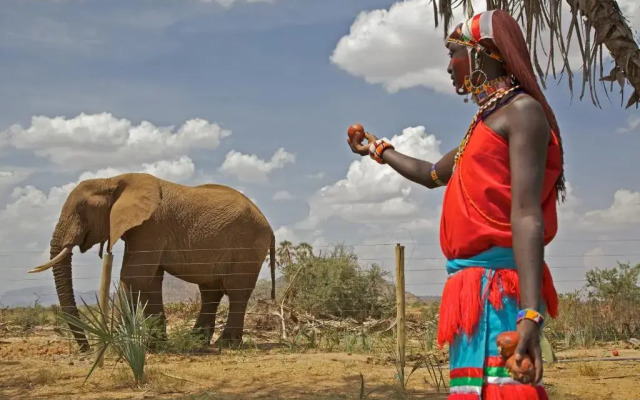 Samburu Lodge