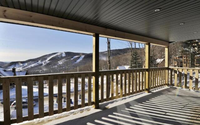 Chalets Alpins - 42 Chemin Blanc