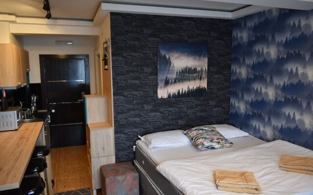 Apartments Mujen Lux