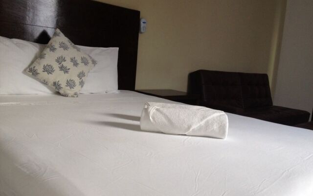 The Olive Hotel & Boutique