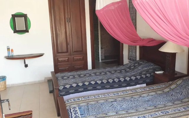 Lazy Lizard Boutique-Hotel