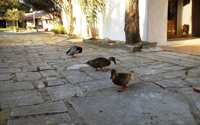 Hôtel les Rizières