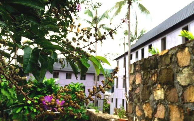 Lilac Cottage Homestay