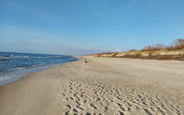 Отдых на Куршской косе