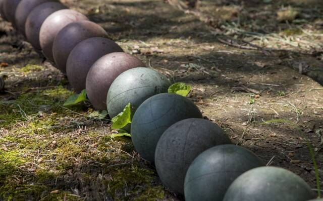 Agriturismo Biologico La Tana del Lele