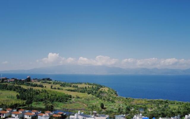 Elephant Study • Cliff Sea View Truffle Hot Spring Boutique Hotel (Fuxian Lake Scenic Area)
