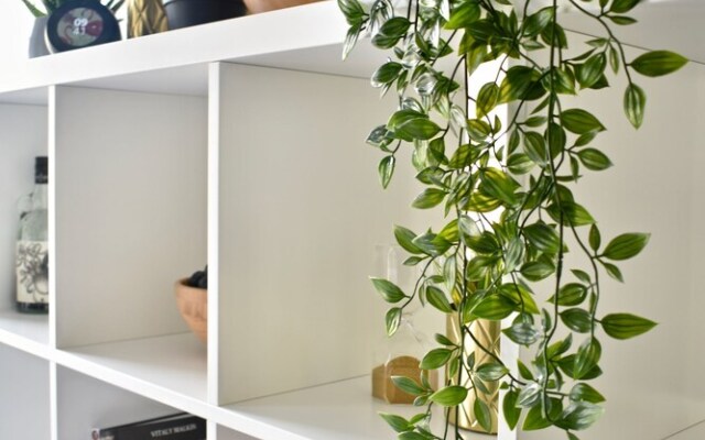 Scandinavian Style Brighton Studio