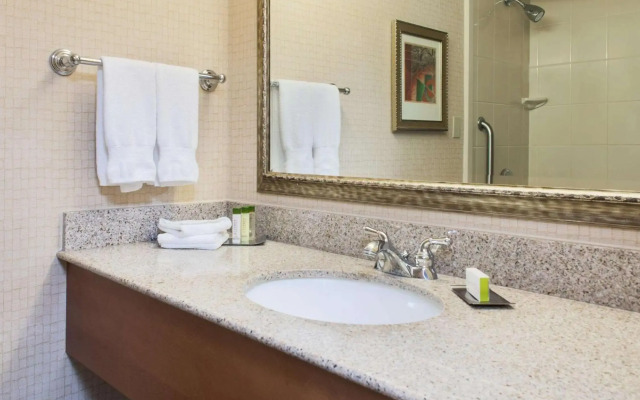 Holiday Inn Express & Suites Houston S - Medical Ctr Area by IHG