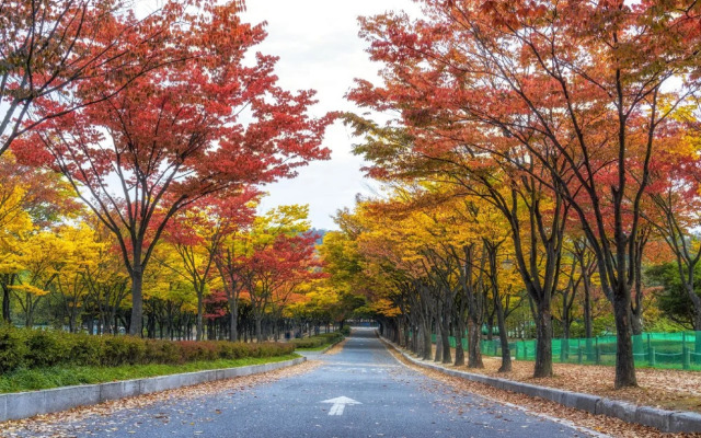 Incheon Kojaja