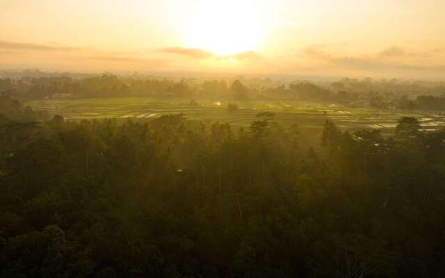 Alila Ubud. Bali