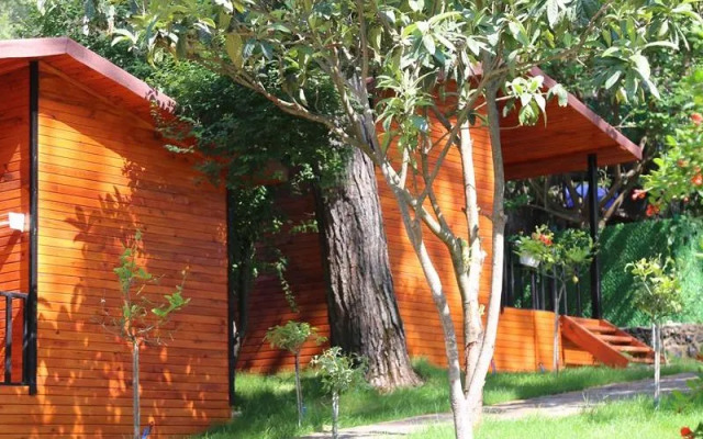 Robina Bungalov